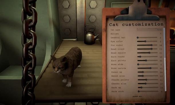 Cat wandering around the personal quarters in IRON NEST